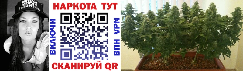 Купить закладку A PVP  COCAIN  ГАШИШ  Метамфетамин  МАРИХУАНА  МЕФ  Чёрмоз