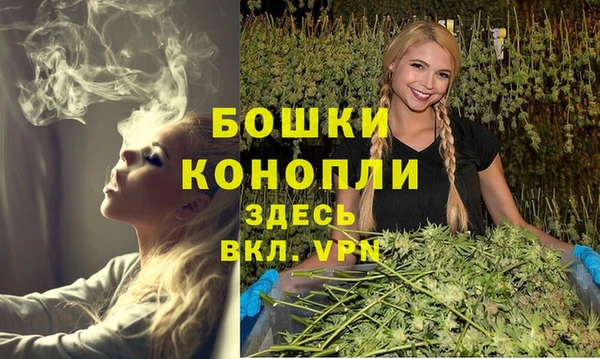 Альфа ПВП Верея