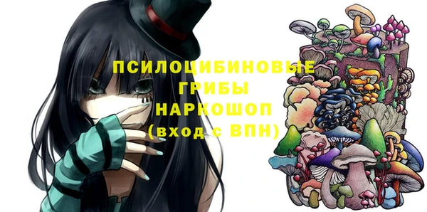Альфа ПВП Верея