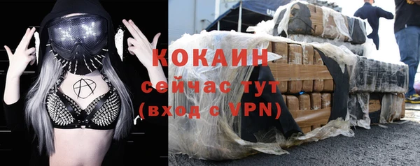 Альфа ПВП Верея